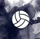 Voleyblog